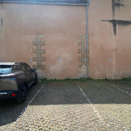 Le Gatsby - Hypercentre, Parking, Netflix, Calme Apartment *