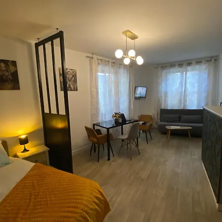 Le Gatsby - Hypercentre, Parking, Netflix, Calme Poitiers