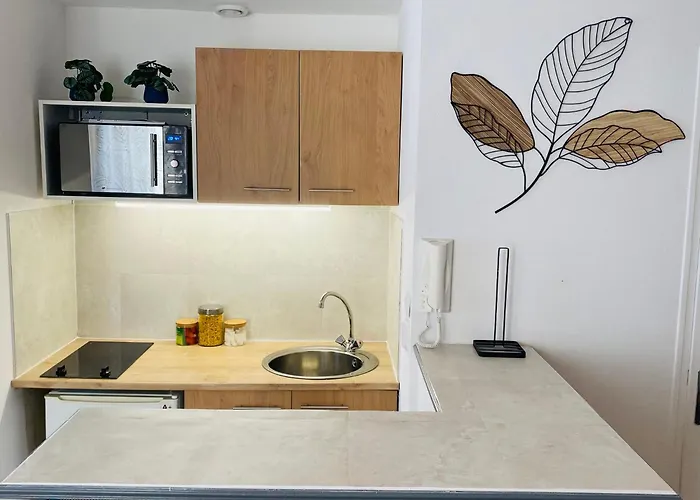 Le Gatsby - Hypercentre, Parking, Netflix, Calme Apartment